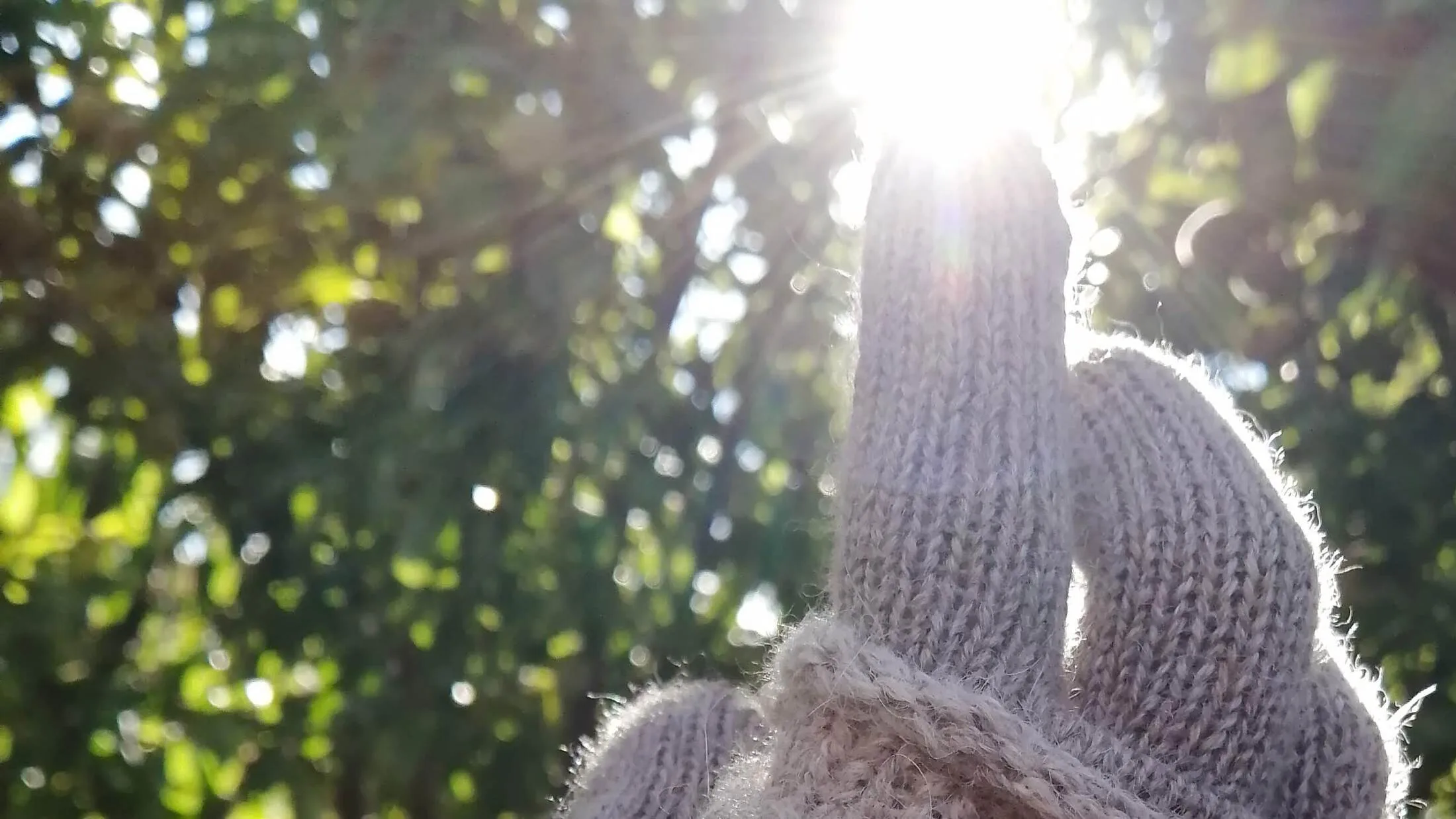 Un guante de punto a contraluz; el sol atraviesa el borde y enciende el pelo de la fibra.